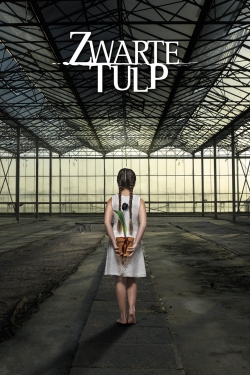 watch Black Tulip movies free online