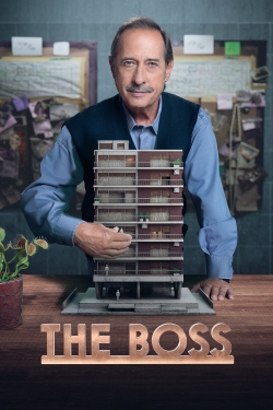 watch The Boss movies free online