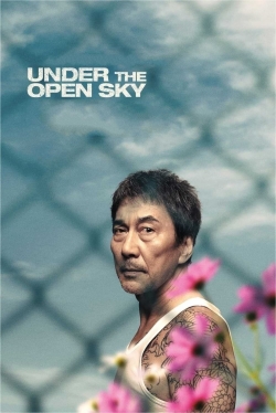 watch Under the Open Sky movies free online