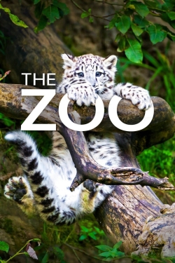 watch The Zoo movies free online