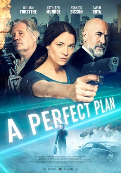 watch A Perfect Plan movies free online