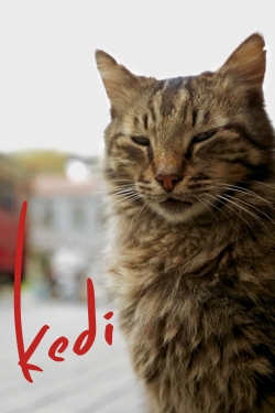 watch Kedi movies free online