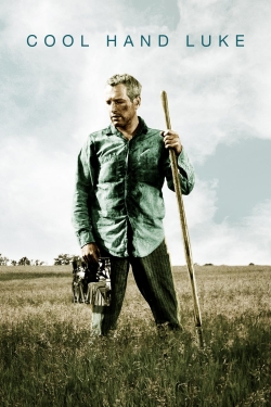 watch Cool Hand Luke movies free online