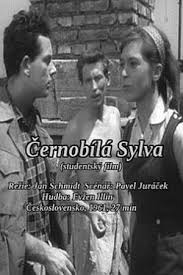 watch Black and White Sylva movies free online