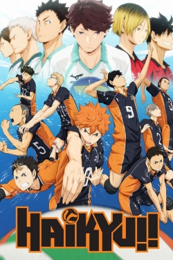 watch Haikyu!! movies free online