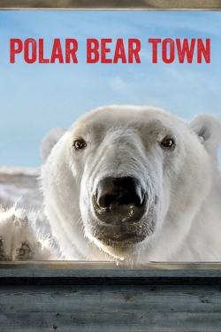 watch Polar Bear Town movies free online