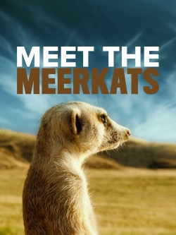 watch Meet The Meerkats movies free online